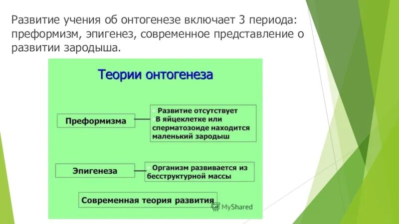 Понятия период онтогенеза. Теории онтогенеза. Теории развития онтогенеза. Теории онтогенеза таблица. Основные концепции онтогенеза.