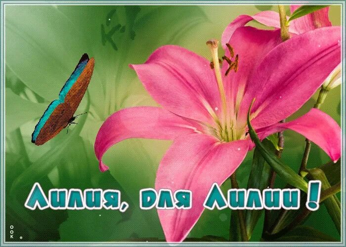 С днём рождения лилия красивые поздравления. Поздравления с днём рождения лиля. Поздравления с днём рождения лиля. С днём рождения лилия. Поздравления с днём рождениялилии.