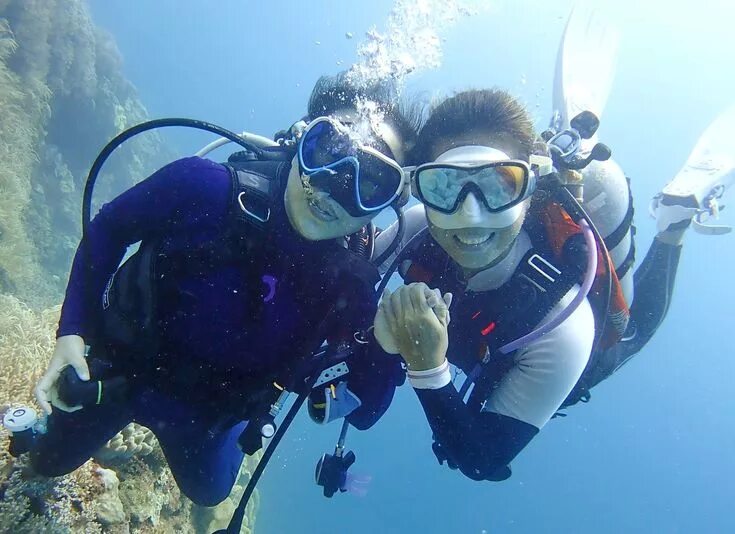 Dive want