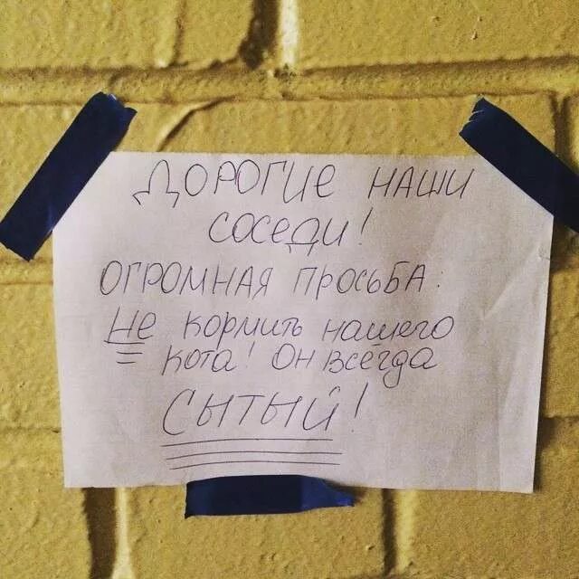 Вежливые соседи. Смешные объявления в подъездах. Прикольные надписи в подъездах. Прикольные объявления в подъезде. Смешные Записки в подъездах.