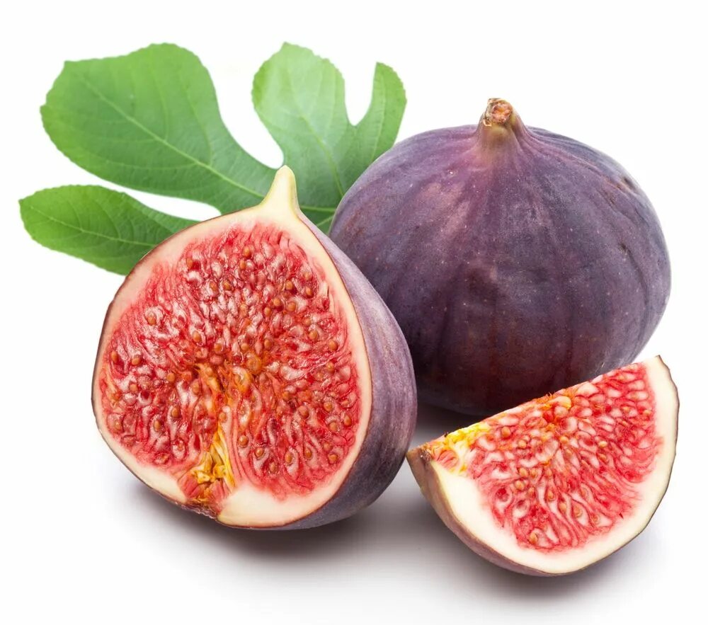 Fig figsize