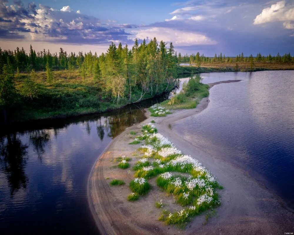реки лесотундры. кольский полуостров горы хибины. тундра пейзаж. реки лесотундры. ямало-ненецкий автономный округ тайга.