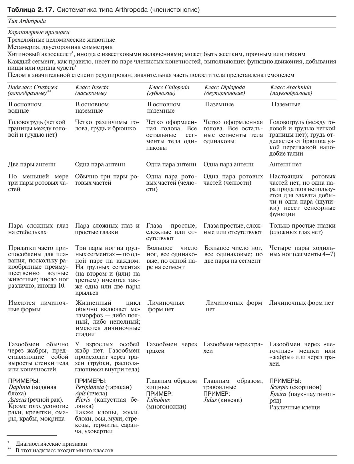 Характеристика классов типа членистоногие таблица 7 класс. Характеристика классов типа членистоногие таблица 7 класс