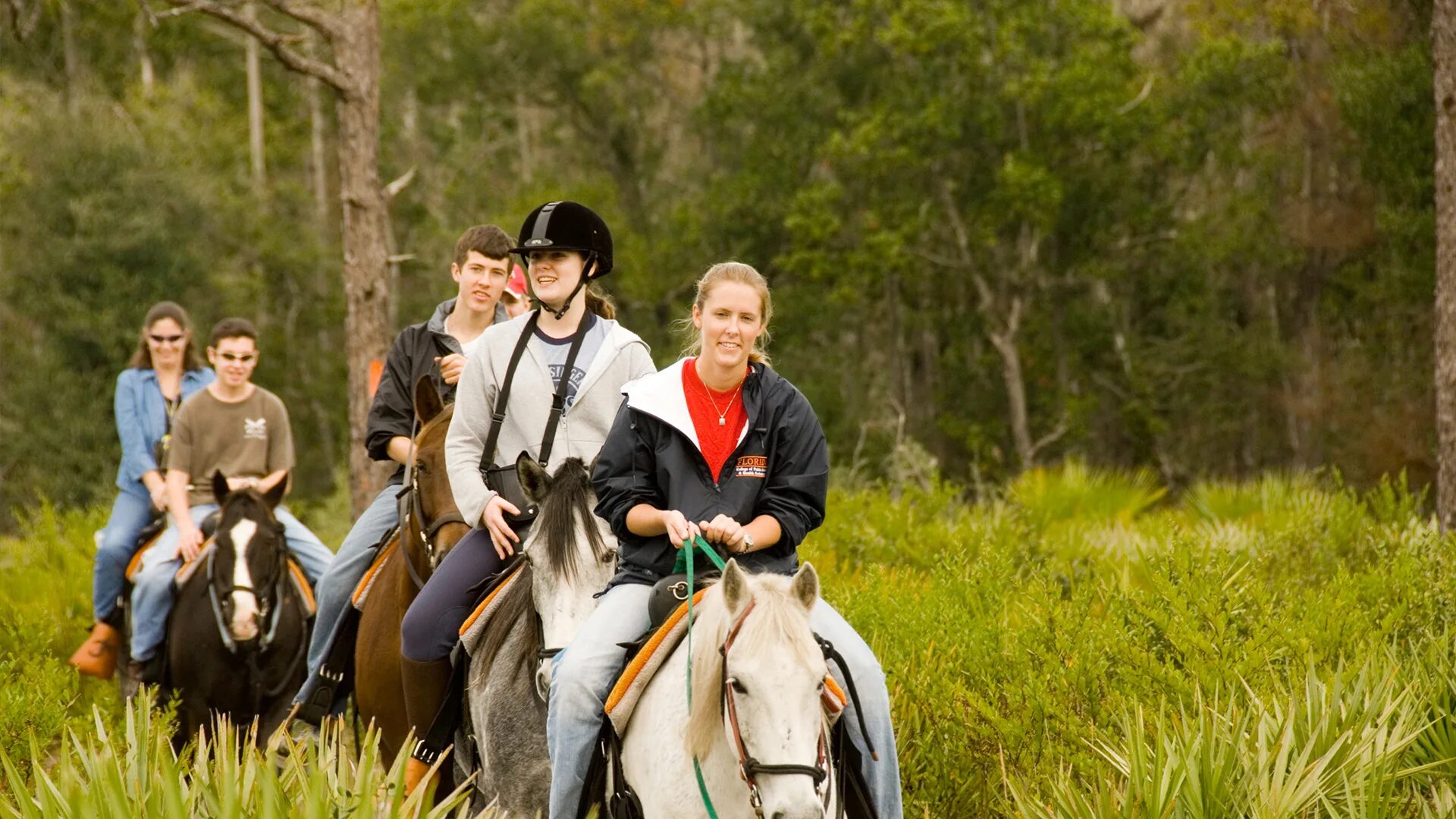 The horse rider. Прогулки на лошадях природа. Прогулки на лошадях в Великобритании. Катание на лошадях в лесу. Ирландия прогулка на лошадях.