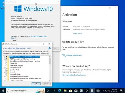 Windows 10 build 22h2