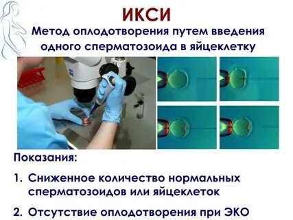 Использовали для оплодотворения