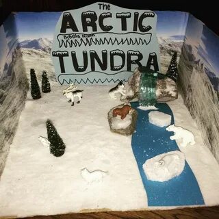 Тундра из пластилина 4 класс