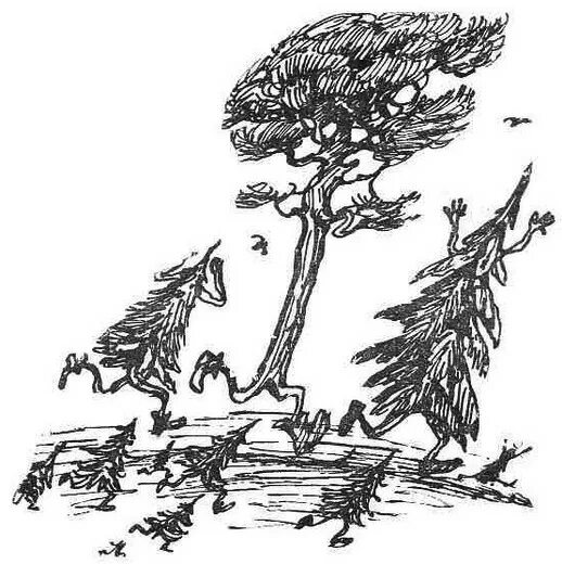 бегущее дерево. необыкновенные деревья. дерево убегает. куршская коса танцующий лес. картинки "бегущее дерево.