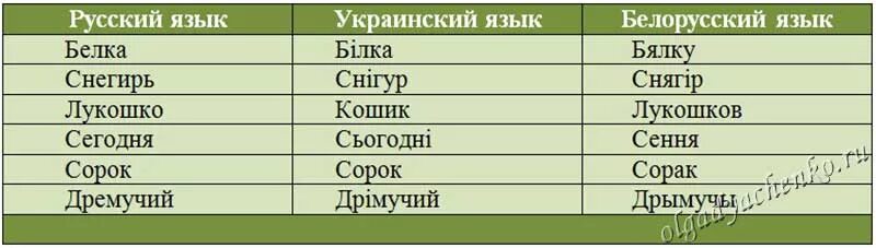 Перевод с беларускай мовы. Переводчик с русского на бел. Белорусский язык. Перевод с русского на белорусский. Перевод с беларускай мовы.