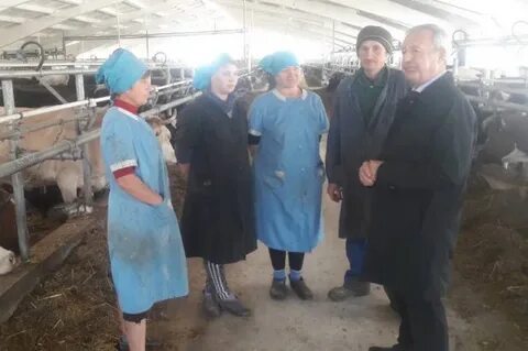 Кфх белгородская