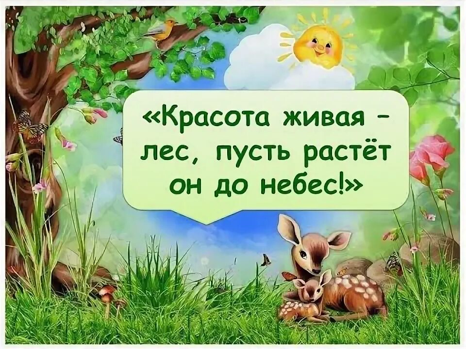 Снежная радуга. Красивые стихи о добром утре. В лесу родилась елочка анимация. Родился в лесу. Утренний рассвет.
