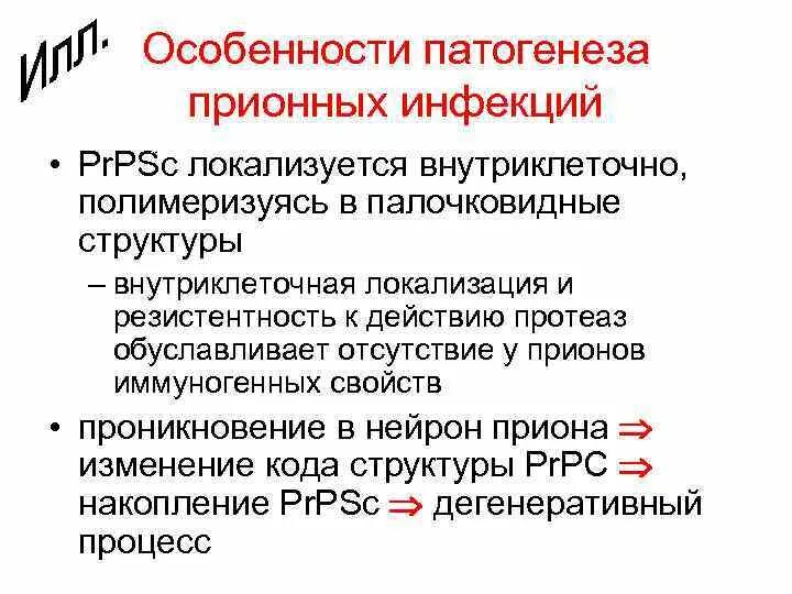 Специфическая профилактика прионных инфекций. Прионные заболевания патогенез. Особенности патогенеза прионных инфекций. Болезни вызываемые прионами. Признаки патогенеза