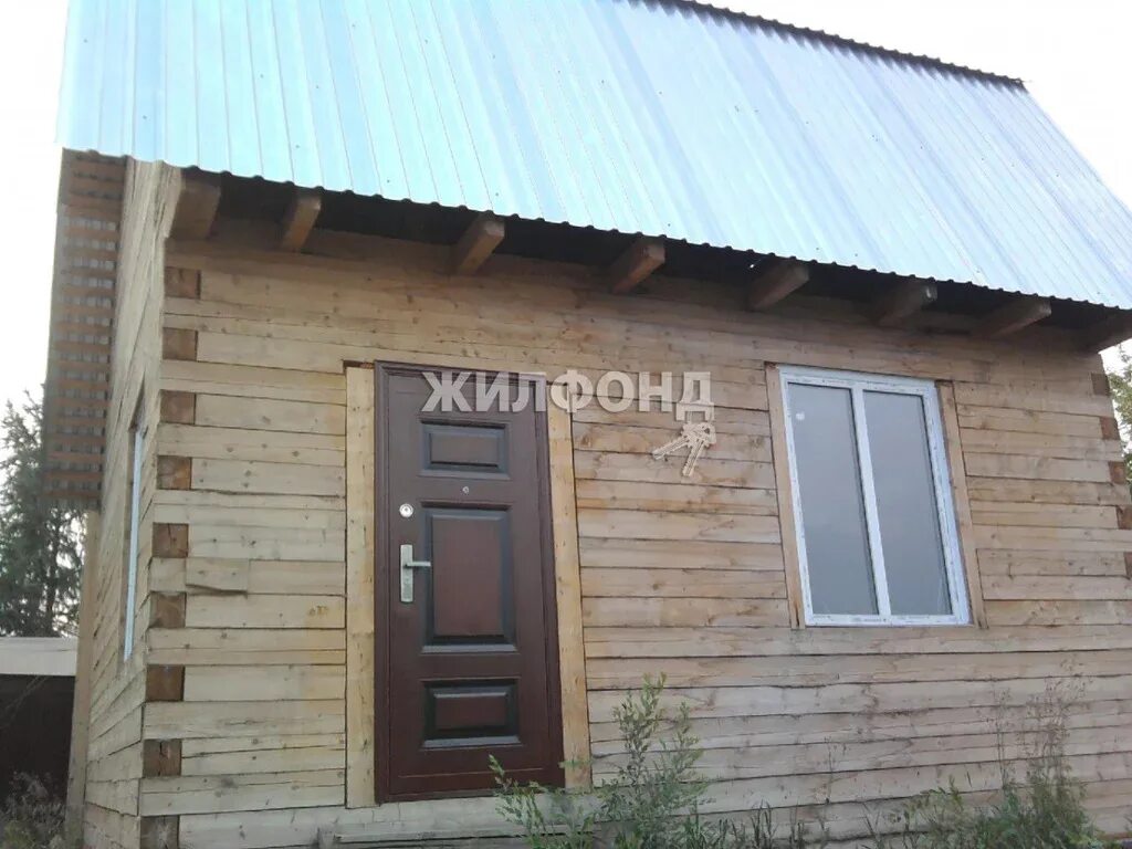 Снт кедр колыванский