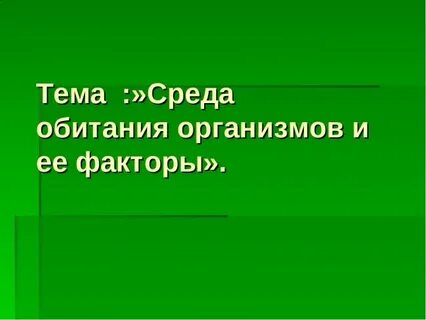 Урок среда