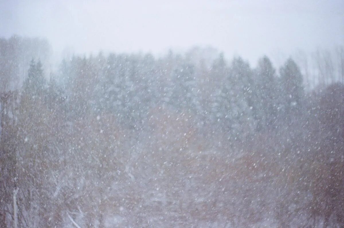 Хлопья снега. Хлопья вьюга. Хлопья вьюга. Снегопад. Метель за окном.