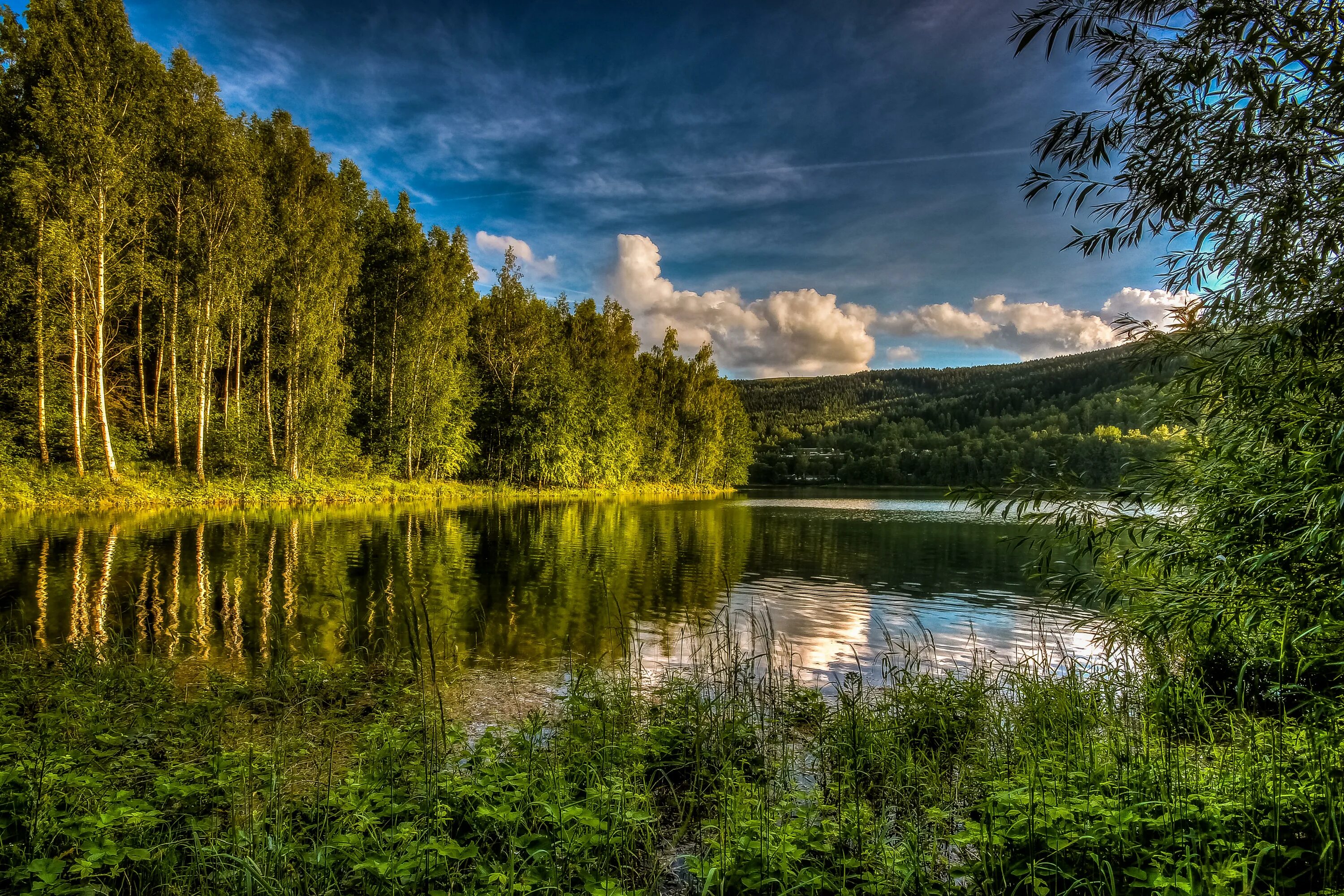 Красивый лес с рекой. Река в лесу. Лесная река. Красивая река в лесу. Река с лесом.