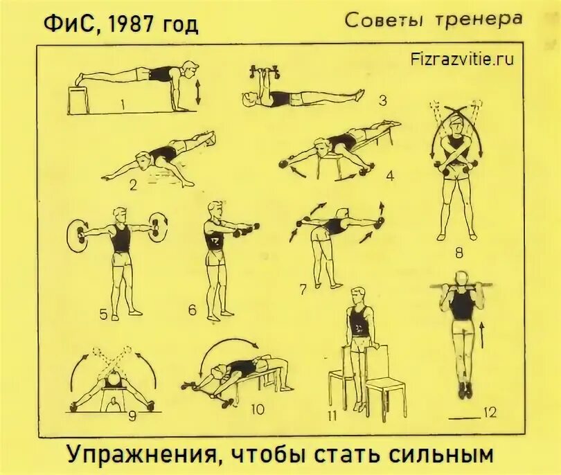 Упражнения чтобы стать сильнее. Упражнения чтобы стать сильным. Как стать сильным в домашних условиях. База ФИС.