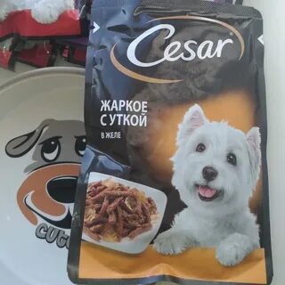 Променад для собак