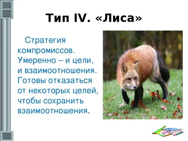 Лисы тип взаимоотношений. Лисы тип взаимоотношений