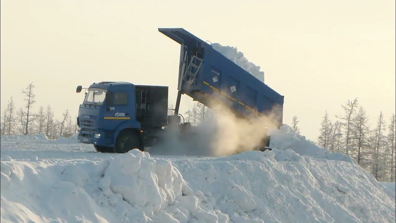 КАМАЗ со снегом. Вывоз снега КАМАЗ. Погрузка снега в КАМАЗ. Вывоз снега КАМАЗ 55102.