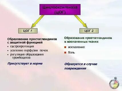 Избыточная блокада цог 2