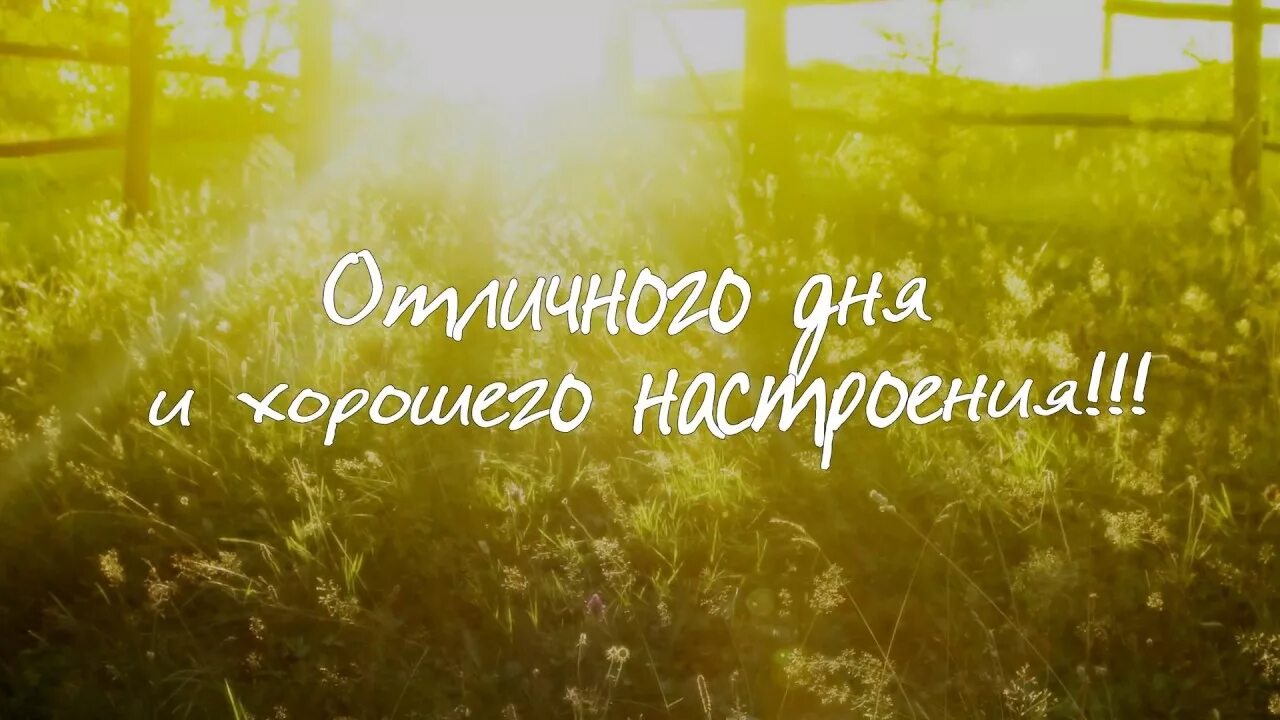 Хорошее утро статус. С добрым утром картинки позитивные. Продуктивного дня и отличного настроения. Доброго утра и отличного настроения позитивные. Позитивного утра.