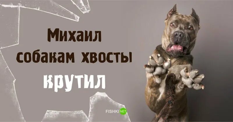 Все мы похоже как не крути