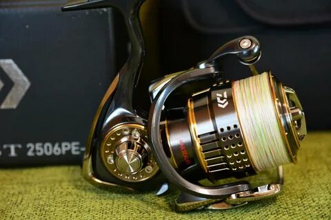 Daiwa exist
