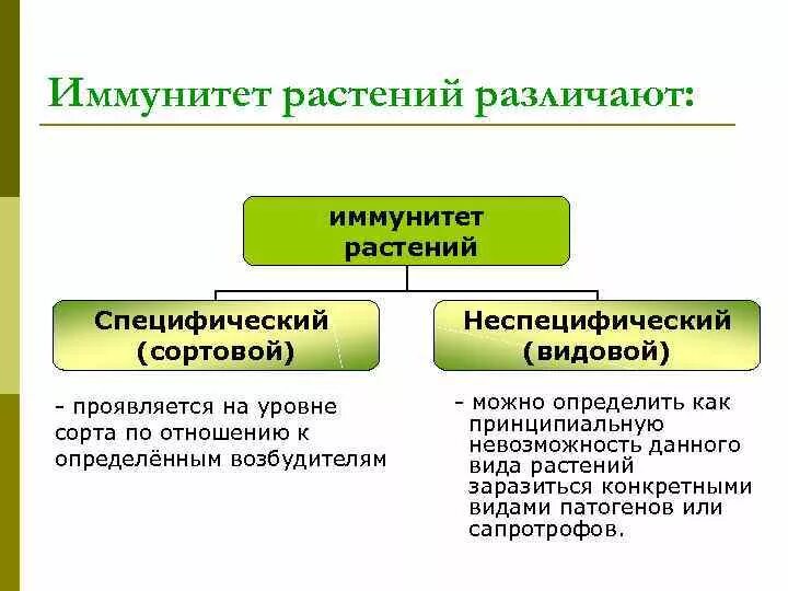 Иммунные растения. Неспецифический иммунитет растений. Специфический и неспецифический иммунитет ра. Физиологические основы иммунитета растений.. Пассивный и активный иммунитет растений.