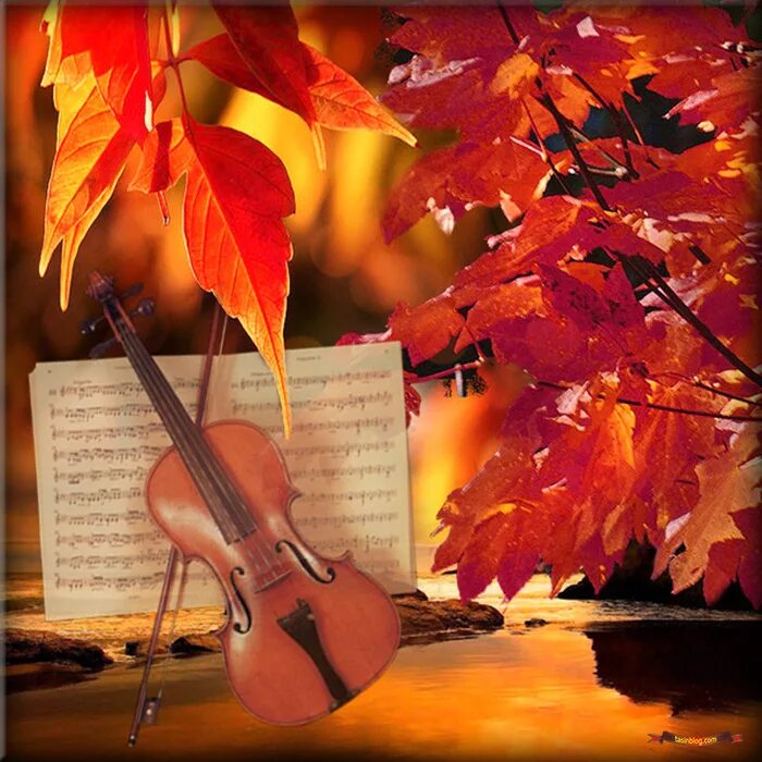 Скрипка осени. Осенняя скрипка. Скрипка в осенней листве. Скрипка осенние листья. Музыкальные инструменты осень.