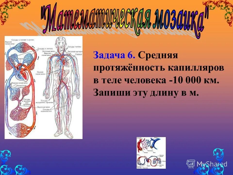 среднем составляет около 10. роль фтора в организме. среднем составляет около 10. вода в организме человека. вода в теле человека.