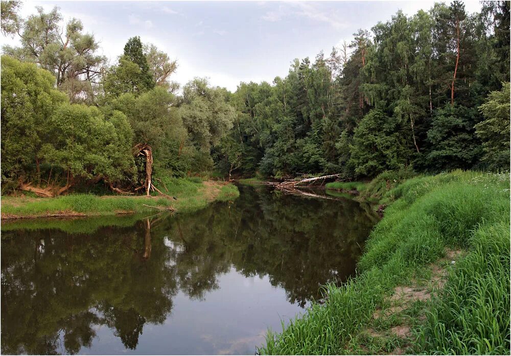 Малые реки фото. Река гуслица. река гуслица рыбалка. малые реки. речка в подмосковье.