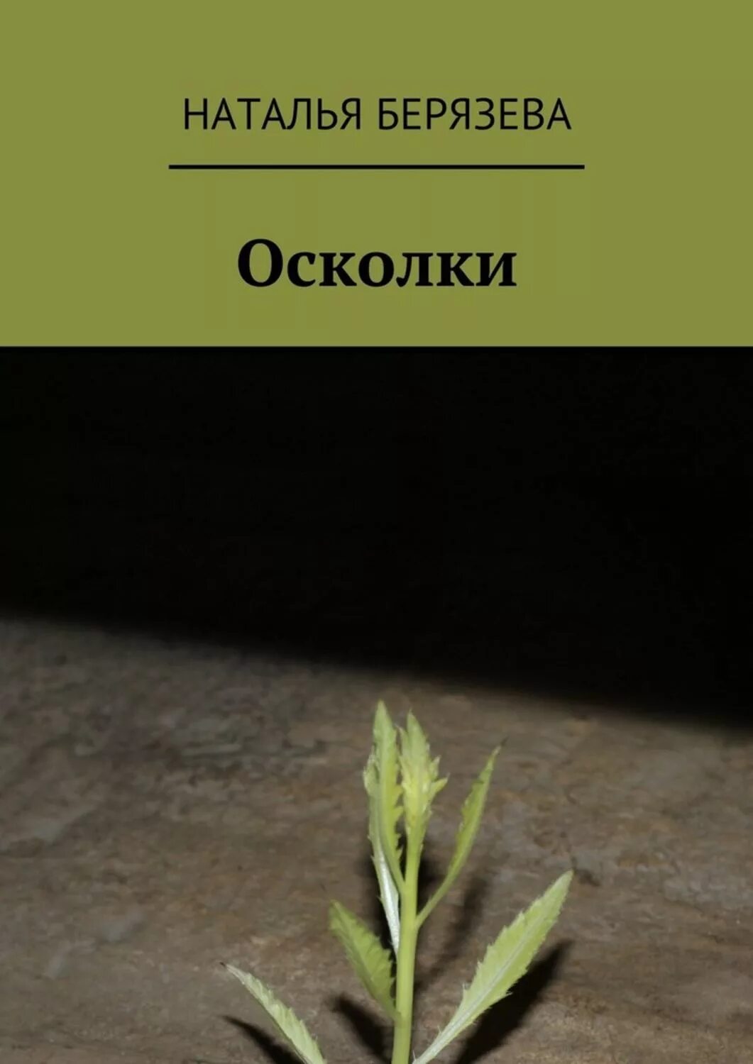 Книга осколки бывшие. Осколки книга. Осколки нашей истории книга.