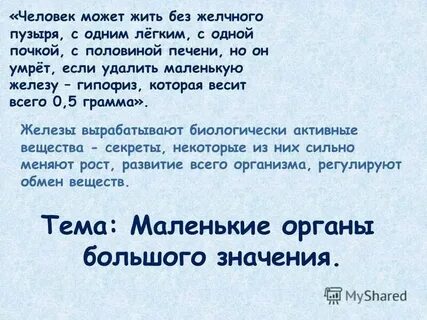 Может ли жить без почек