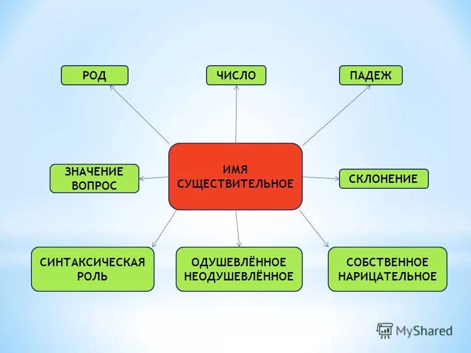 урок имя существительное 10 класс