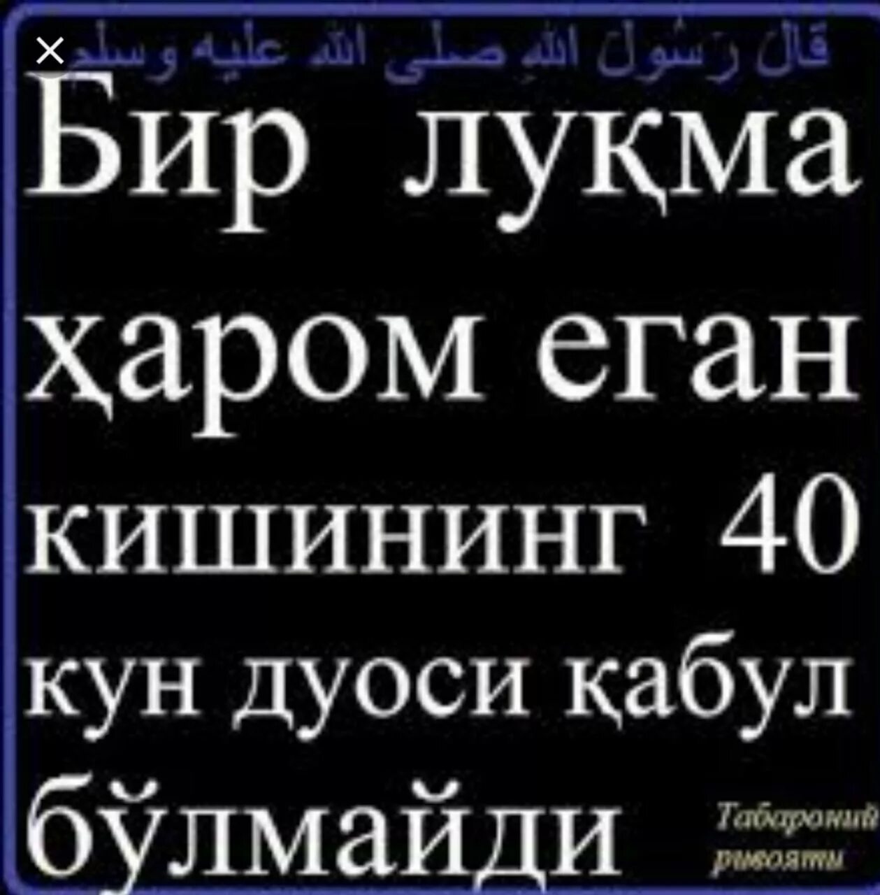хомиладор аёл рўза тутиши мумкинми. бировни хакини ейиш хакида. харом нима. шерлар. умр хакида статуслар.