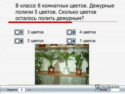 Сколько цветов осталось