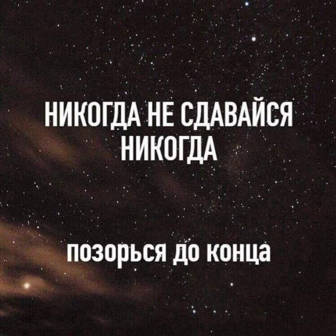 Цитаты про сдаться. Никогда не сдаваться мем. Никогда не сдавайся позорься до конца картинка. Не сдавайся цитаты. Никогда не сдавайся!.