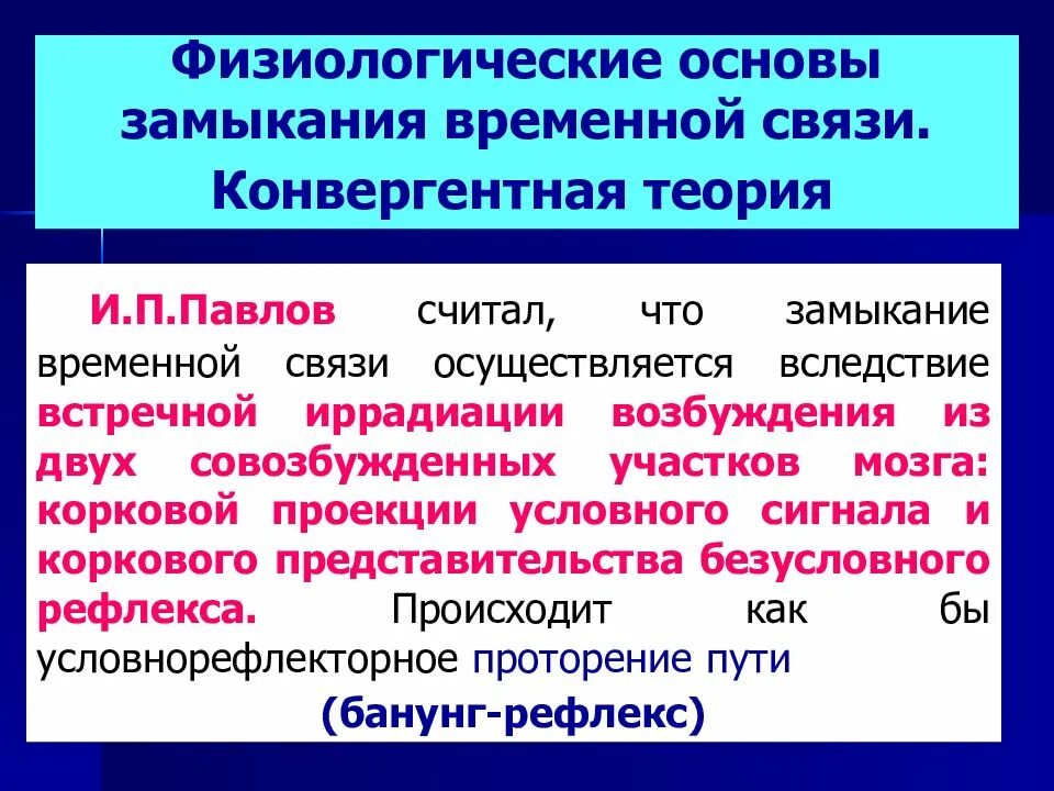 Физиологические механизмы замыкания временных связей. Гипотезы о механизме замыкания временной связи. Теория конвергентного замыкания временной связи. Теория конвергентного замыкания временной связи по Анохину.