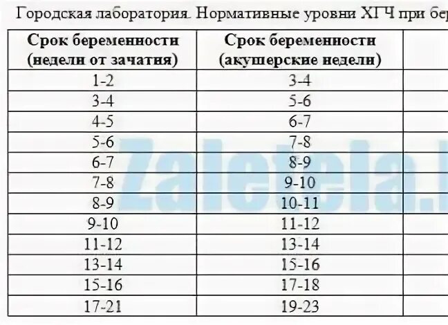 Акушерский срок беременности. ХГЧ акушерские недели. Акушерские недели беременности. ХГЧ акушерский срок 5 недель 5 дней. Разница акушерской недели и