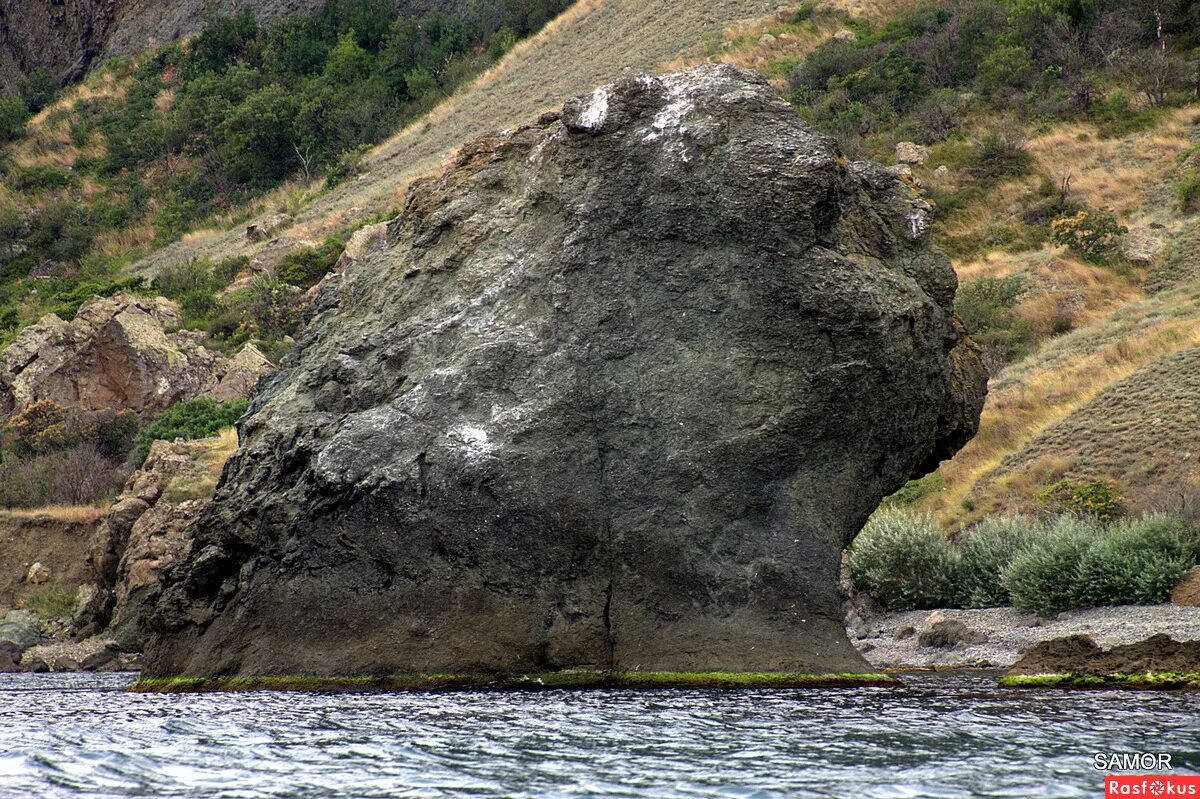 Карадагская змея в крыму