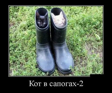Жизнь в сапоге