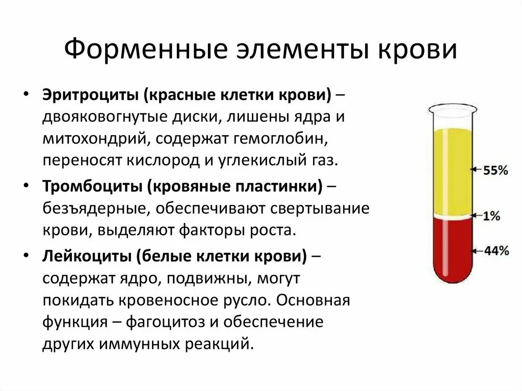 Основные компоненты крови. Возрастные особенности форменных элементов крови. Основные элементы крови. Кровь и форменные элементы крови.