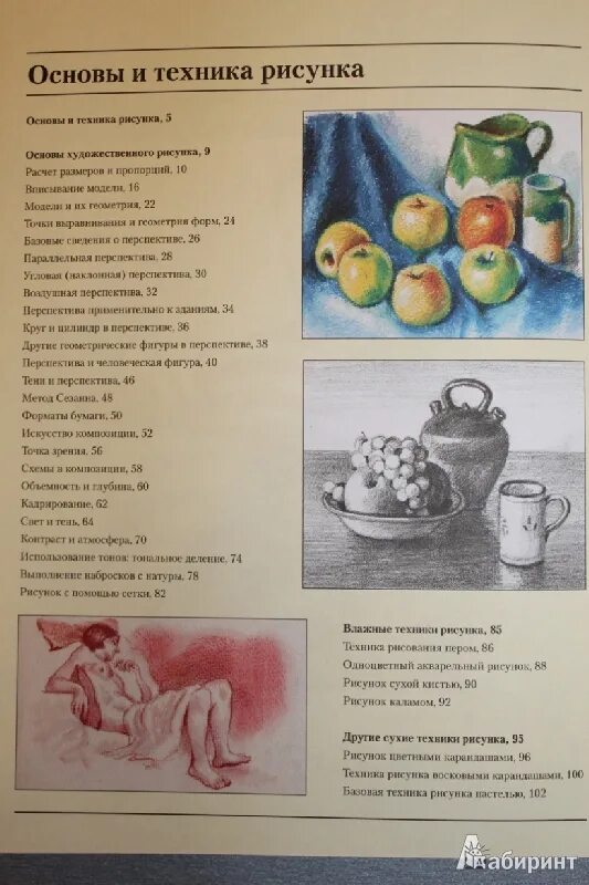 Основы рисунка