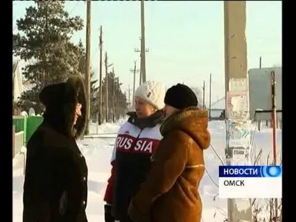 Погода гауф хутор омск