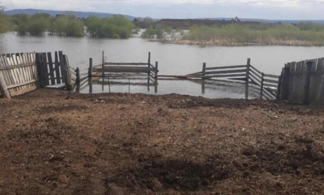 Подъем уровня воды в реке. Река ия в Тулуне уровень воды сейчас. Уровень Уды Нижнеудинск. Затопления Бирюсинске 2019. Река уда Иркутская область 2021.