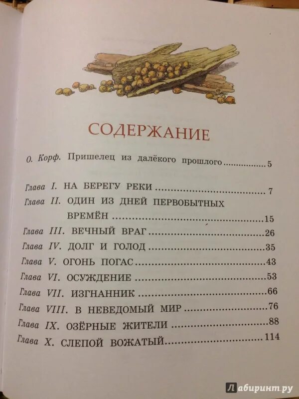 Эрвильи приключения доисторического мальчика сколько страниц. Приключения доисторического мальчика сколько страниц. Приключения доисторического мальчика сколько страниц в книге. Доисторического мальчика сколько страниц.