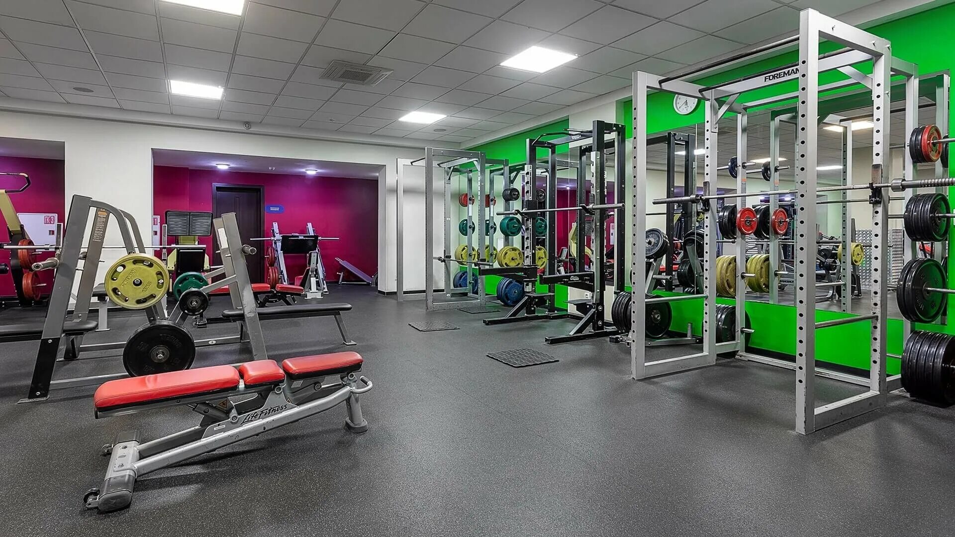 Алекс пассаж. Alex fitness бирюлево восточное. алекс фитнес пенза онежский. алекс фитнес воронеж 45 стрелковой дивизии. алекс фитнес челябинск.