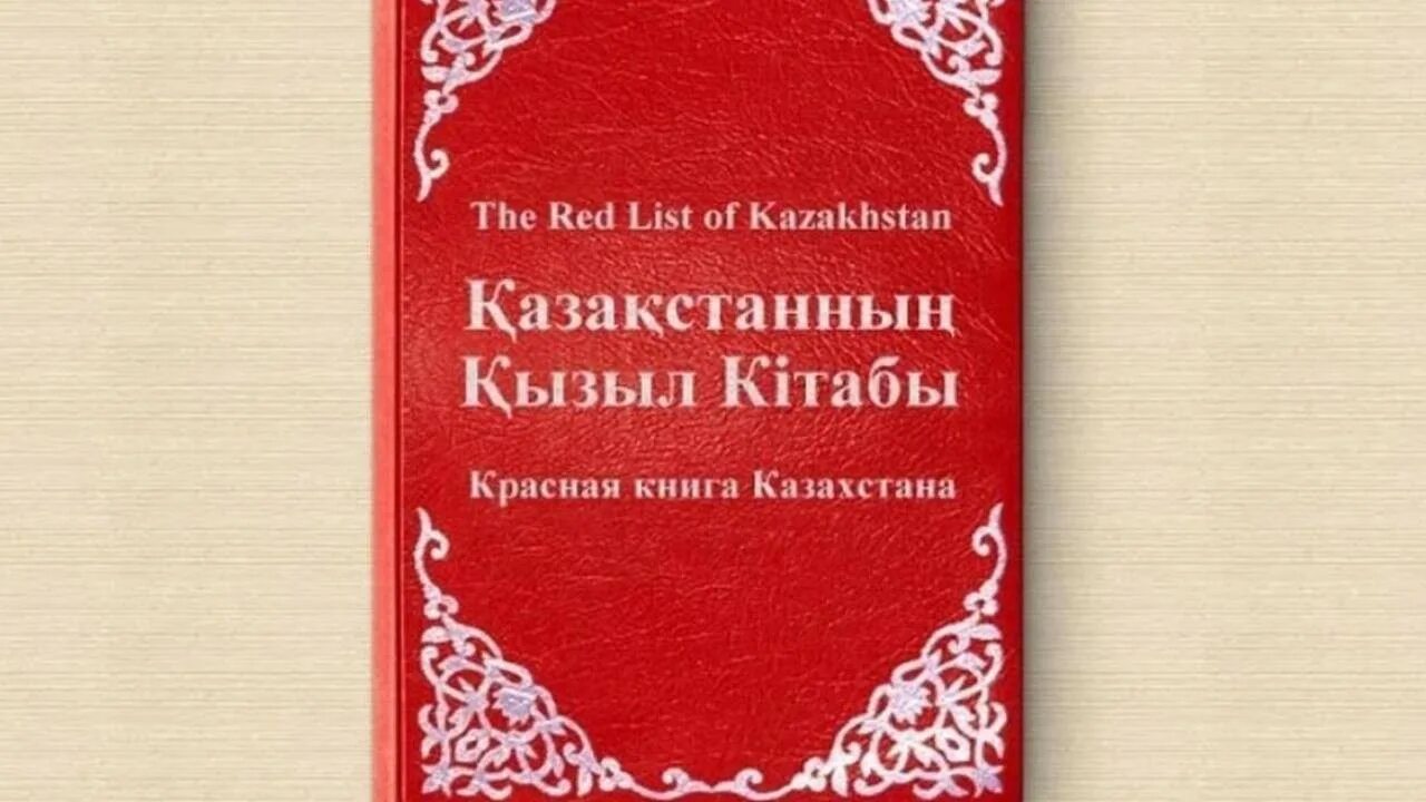 Цветочная пыльца фото - ViktoriaFoto.ru