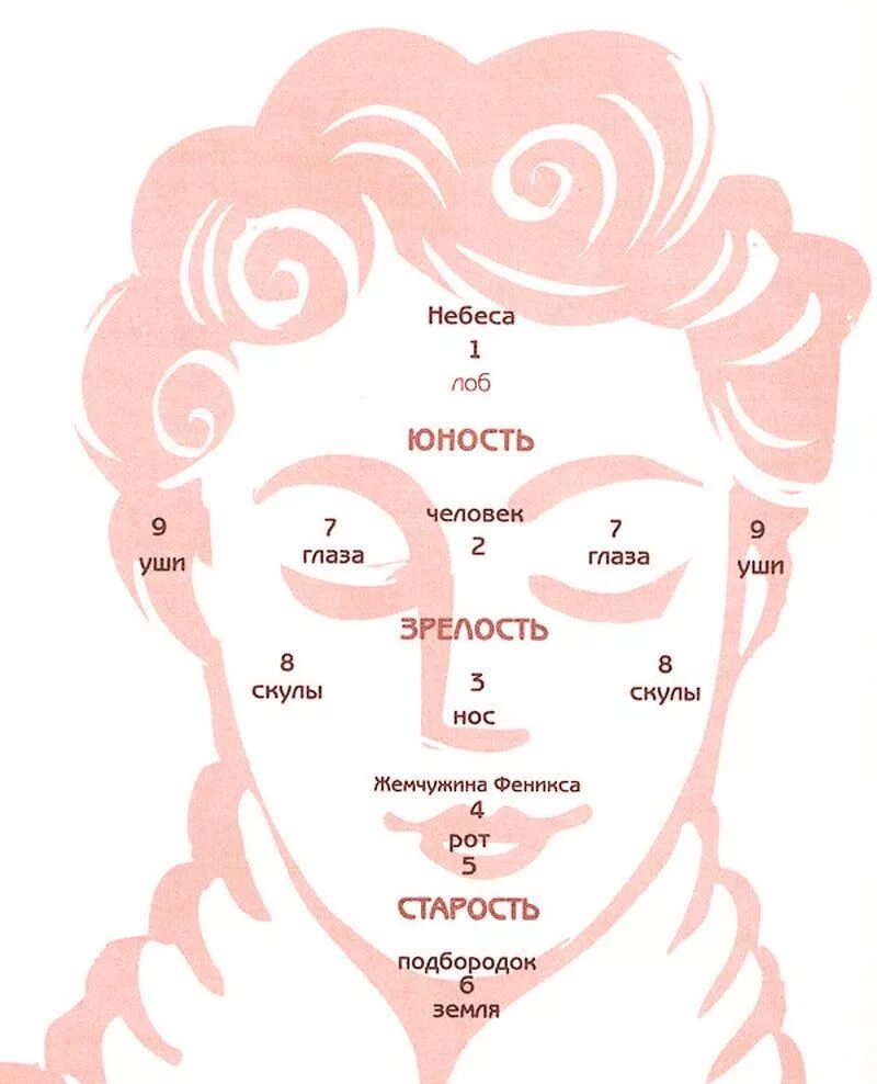 Точки богатства. Проекция органов на лице. Проекция органов на лице человека. Карта точек на лице. Зоны на лице отвечающие за внутренние органы.